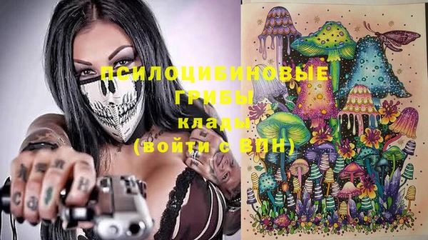 твердый Алексин