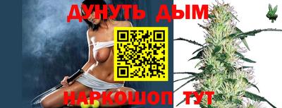 мдпв Гай