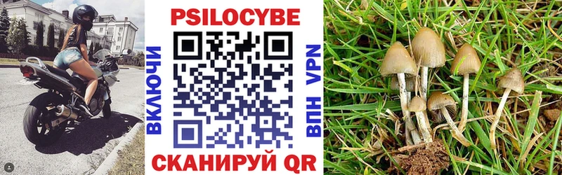 МЕГА зеркало Нижнеудинск Псилоцибиновые грибы Psilocybe