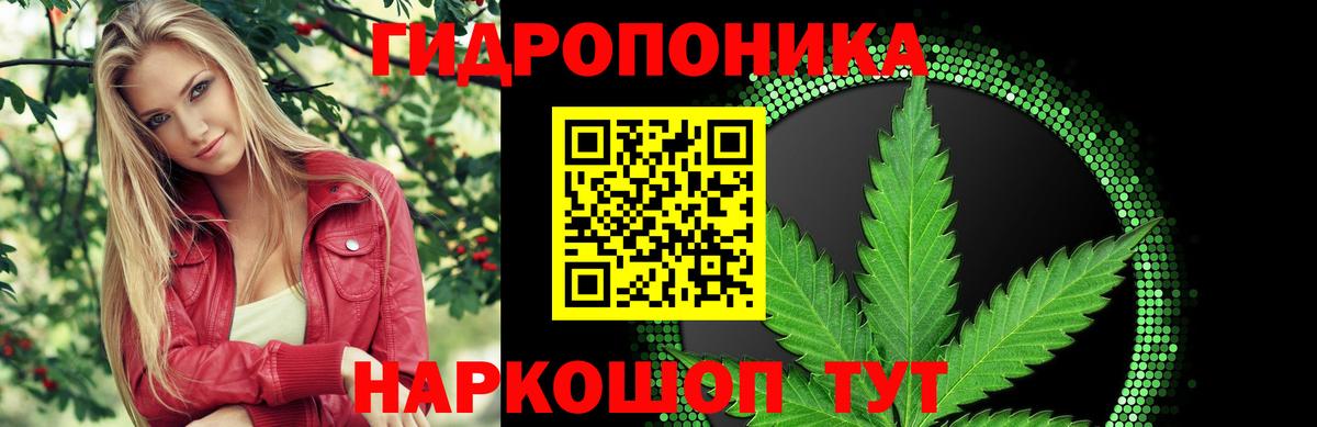 Шишки марихуана ГИДРОПОН  Конопля Bruce Banner  Канабис AK-47  Нижнеудинск  Вход с VPN 